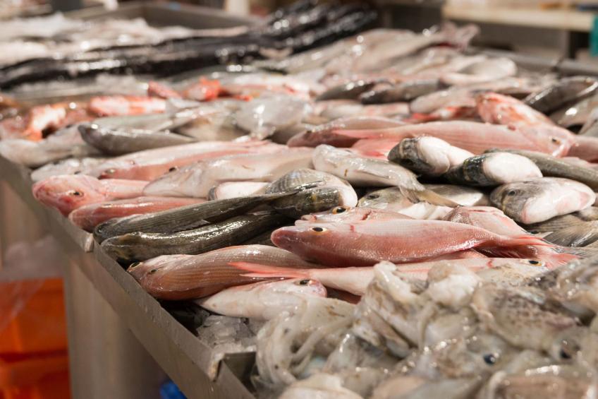 Berghütte "Villa Romao" - foto 61