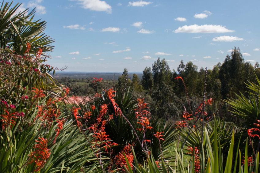 Monte Horizonte Casa Passaro Öko und Natur - foto 16