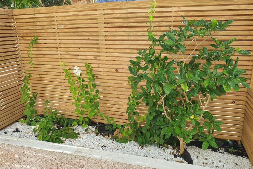 Wohnung B2 in Jan Thiel Curacao - foto 26