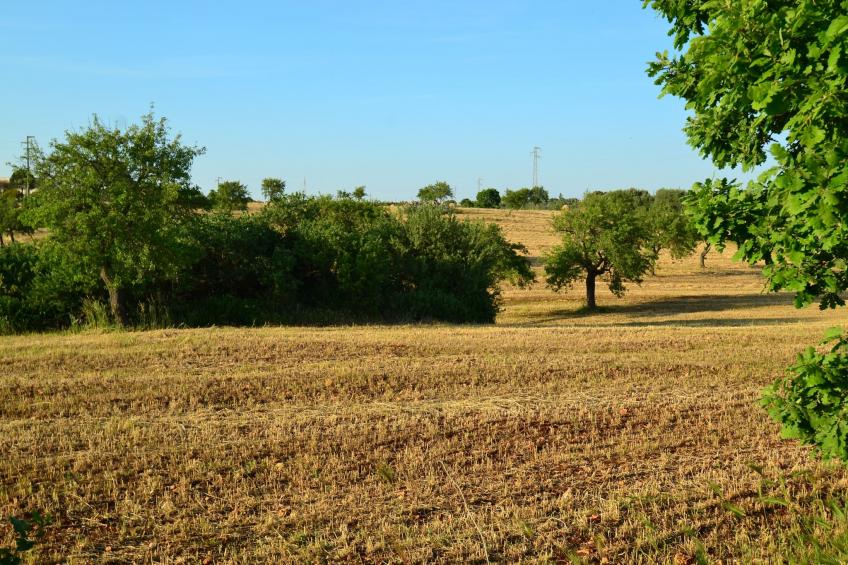 La Marcanna - foto 27