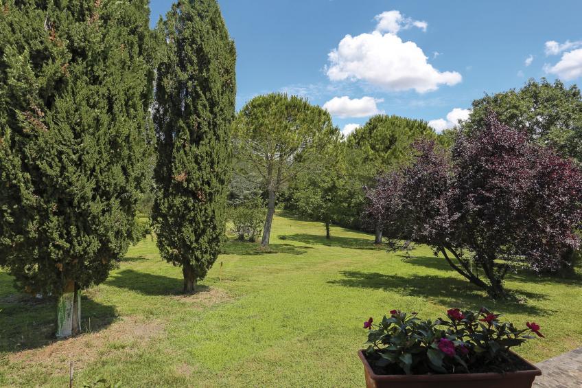 Agriturismo La Cerretella (TER105) - foto 17