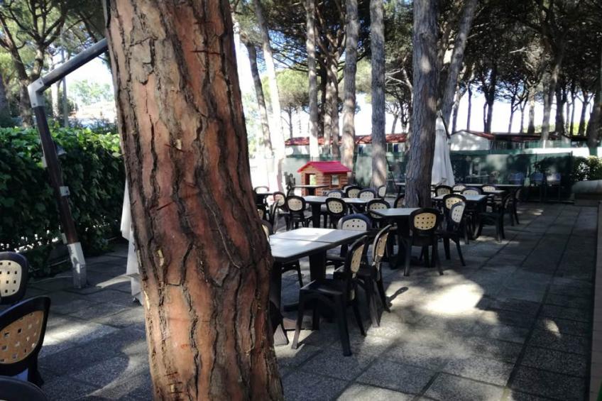 Camping Village Pineta Sul Mare - Cesenatico Mobilhome Luna - foto 21