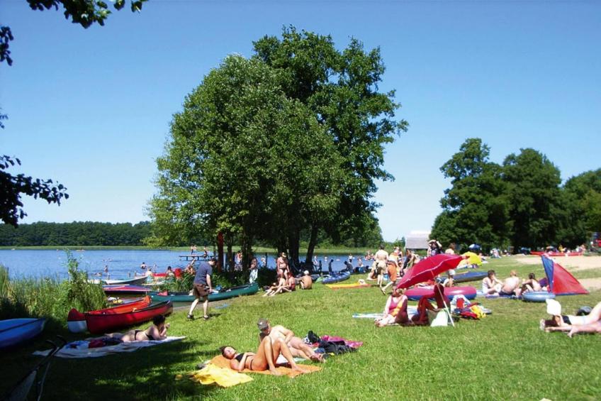 Eisvogel Classic 302 - foto 21
