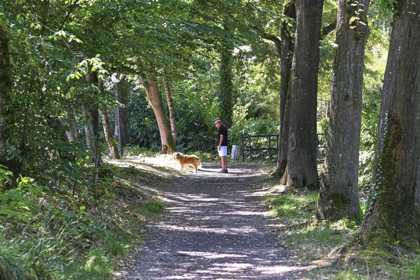 Hoeve Sonnevijver - foto 38