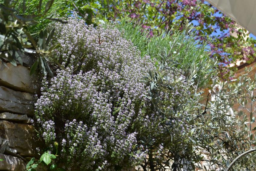 "Stone Retreat" - foto 19