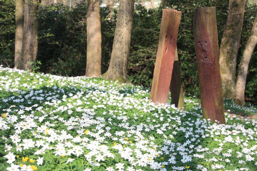 Wohlfühloase für Natur- und Gartenliebhaber - foto 24