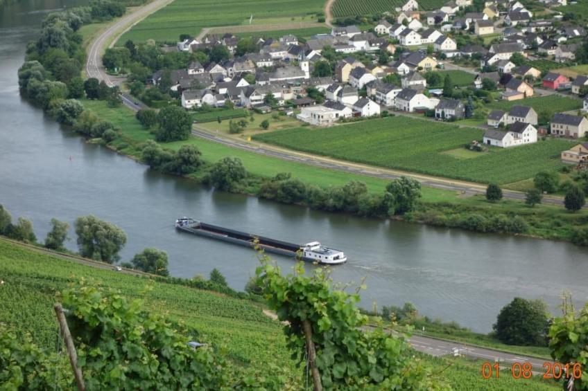 Tolle Wohnung in Klüsserath mit Großem Garten - foto 23