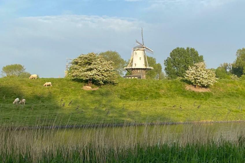 Appartement - Kievitenlaan 1 | Veere 'Nescio' - foto 20