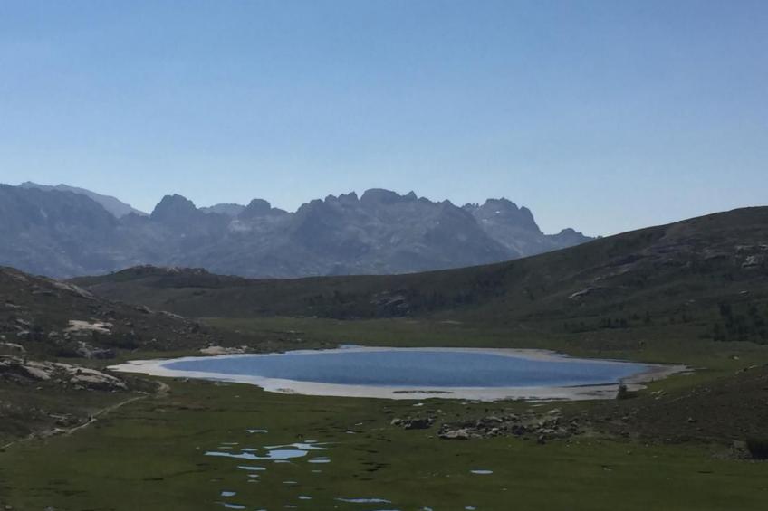 Villa Belle Vue, direkt am Meer, 1-2 Haustiere erlaubt - foto 21