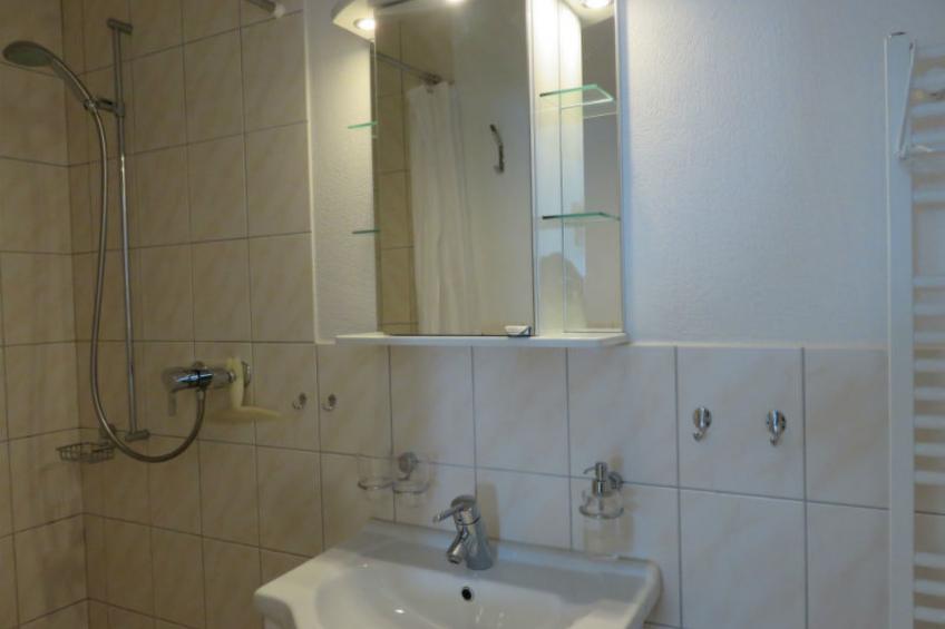 BioHof Casutt, Tenna, (Tenna), 06002B - foto 5