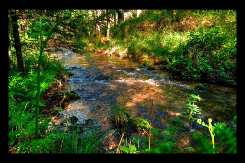 Gîte "Au bord de l'Eau " - foto 33