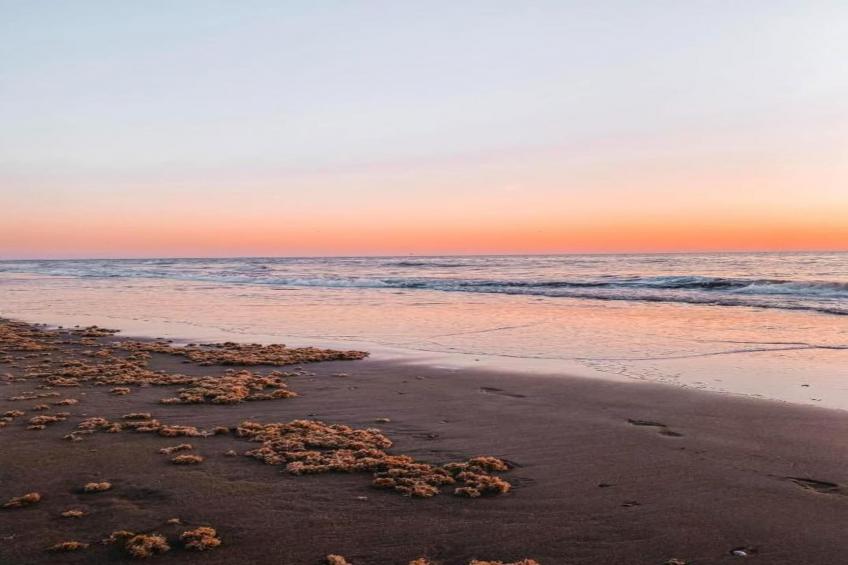 Bungalowpark de Gouden Spar - foto 29