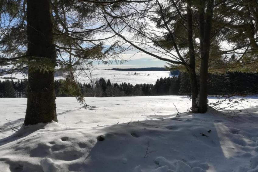 Thüringer Wald - foto 28