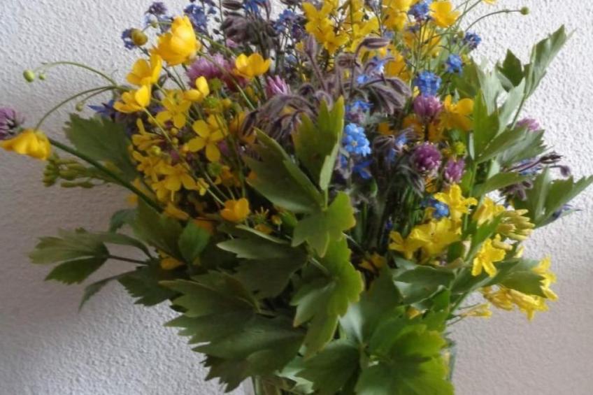 Manser, Ferien beim Bauer (1. Stock) - foto 11