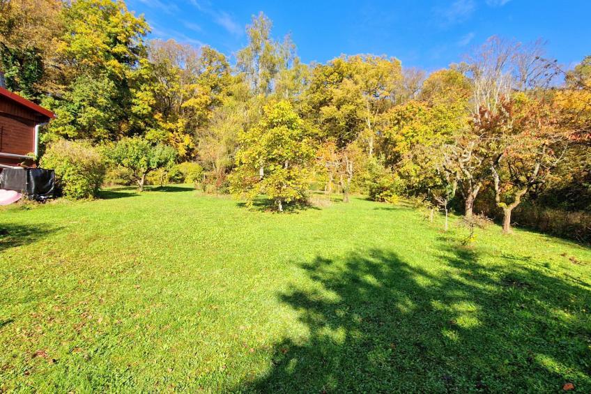 Buchengrund - foto 26