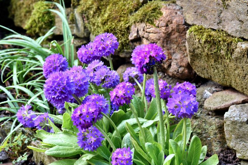 Stable Cottage - foto 18