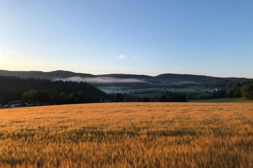 Ferienwohnung an der Talsperre Rauschenbach - foto 29