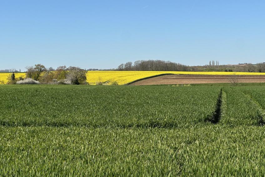 La Tour de la Chapelle - foto 39