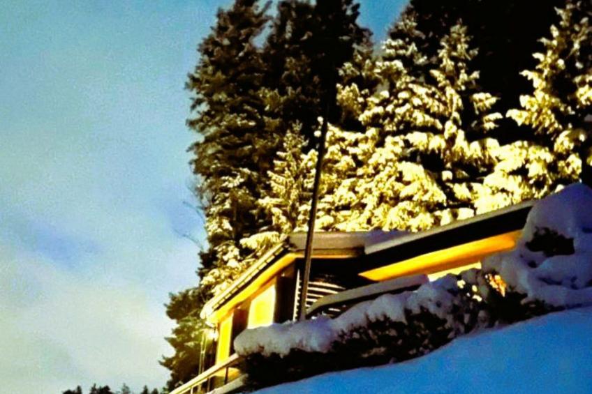 Chalet Waldhüsli (CharmingStay), (Flumserberg Tannenboden), - foto 44
