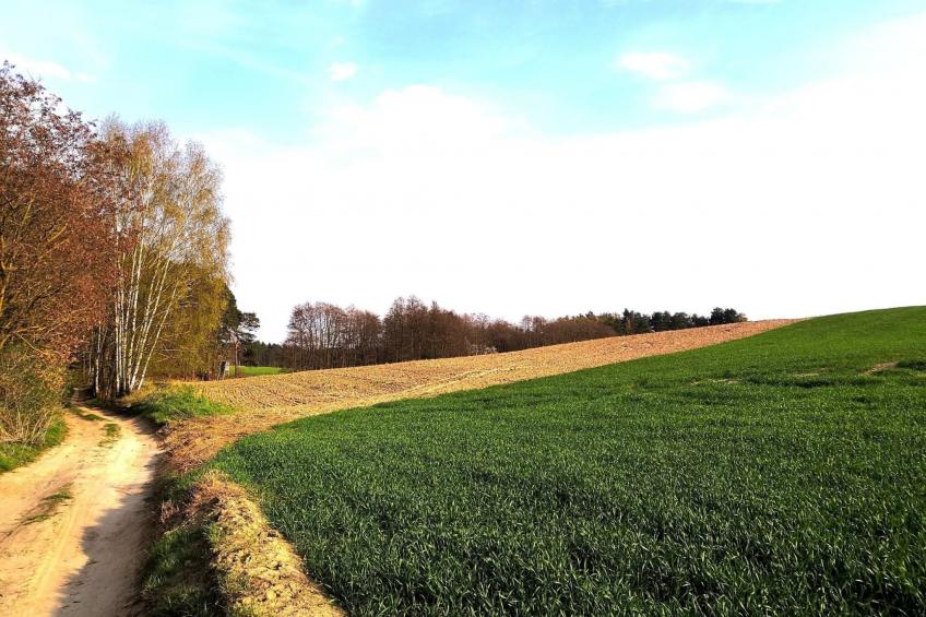 "Ferienhaus GolczaVita" - foto 26