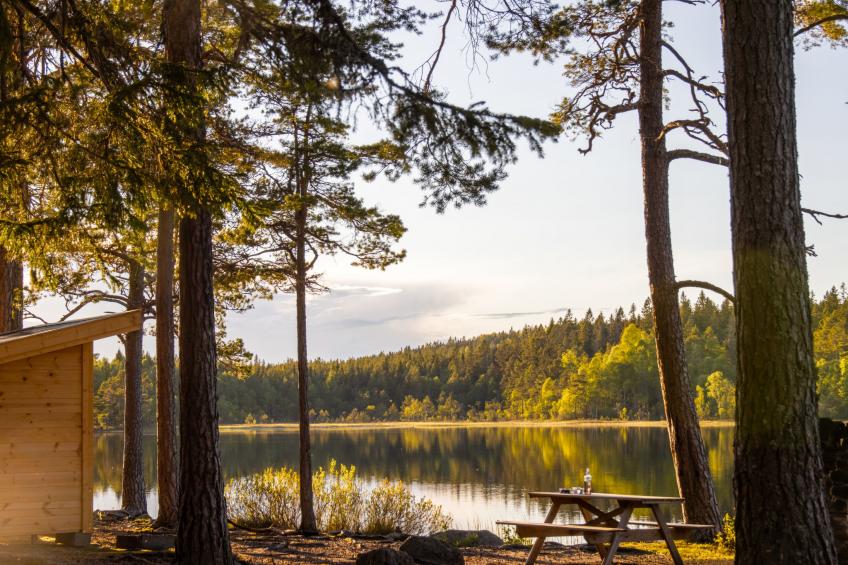 Hölick Tallen 1 - foto 38