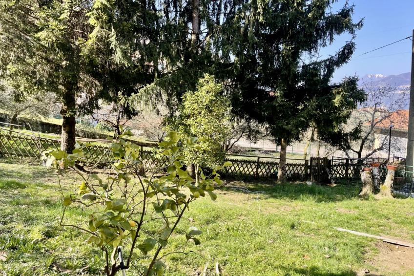 Nel Castagneto - foto 21