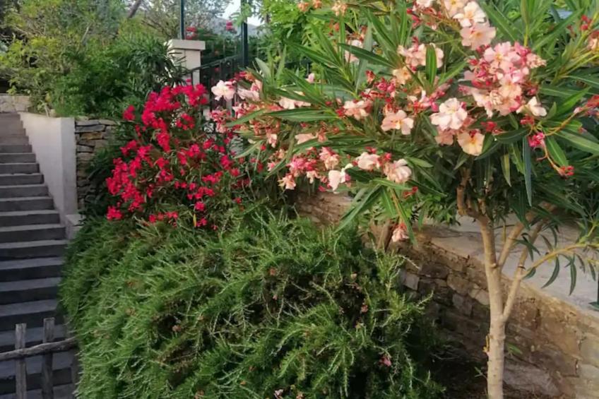 Three Bedroom Villa  With Private Pool - foto 34