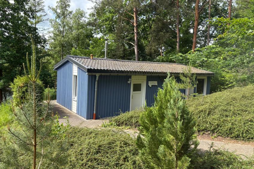 Waldhäuser - foto 29