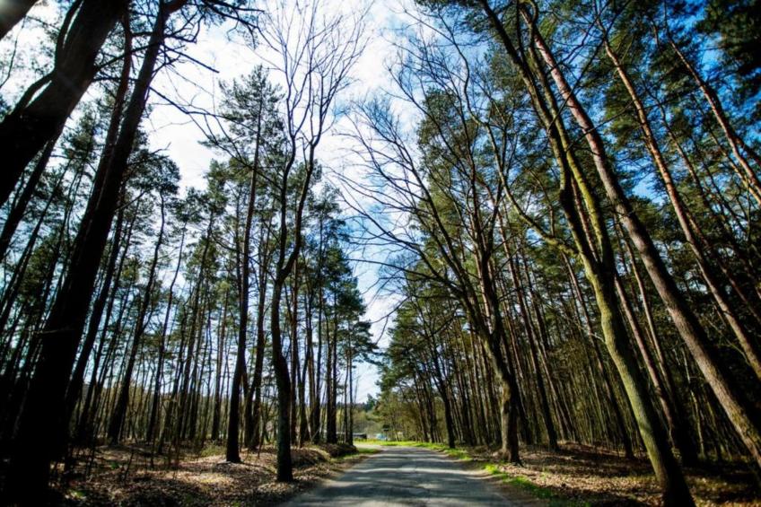 Willa Karwińskie Błota - foto 36