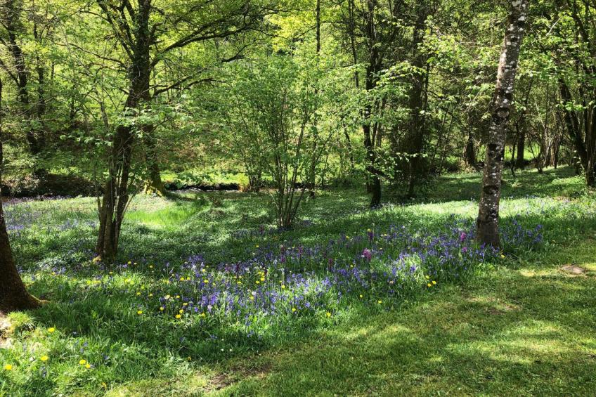 direkt am Strand - foto 35