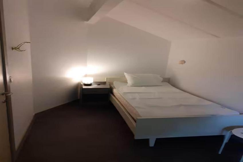 L'Ecureuil Blanc - foto 28