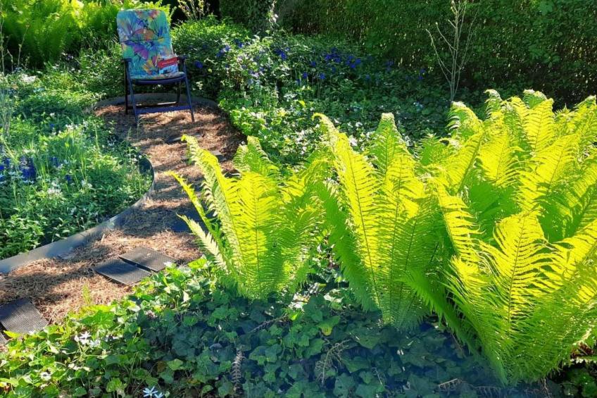 in Storkow mit Schönem Garten - foto 5