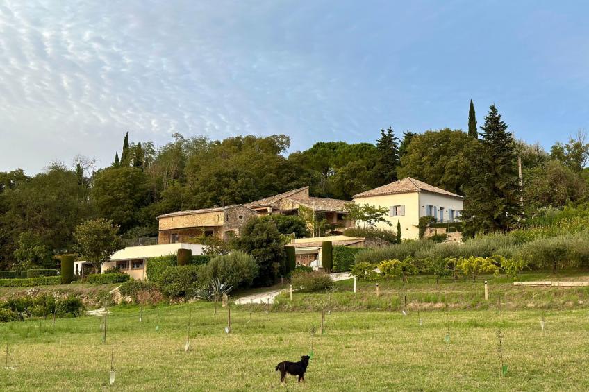 Maison Carrée - foto 17