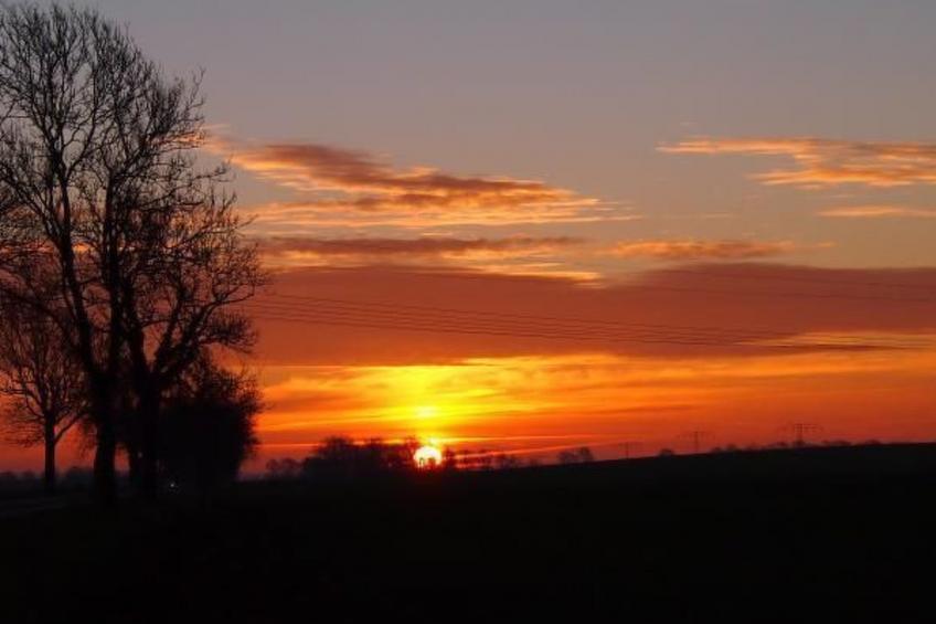 Hochwertige Ferienwohnung in Gingst - foto 46