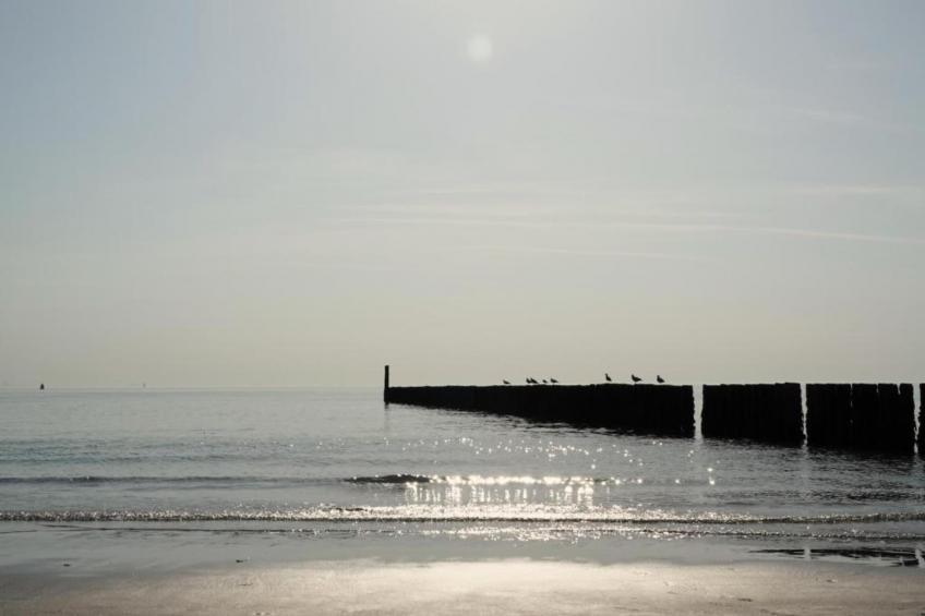 Vakantiepark Hof van Zeeland 5 - foto 38