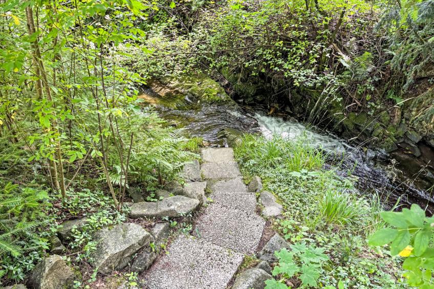 Altes Forsthaus - foto 27