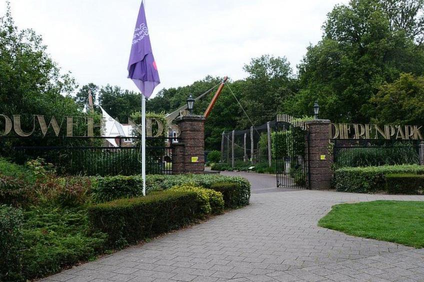 in Rhenen bei Grebbeberg und Wald - foto 18