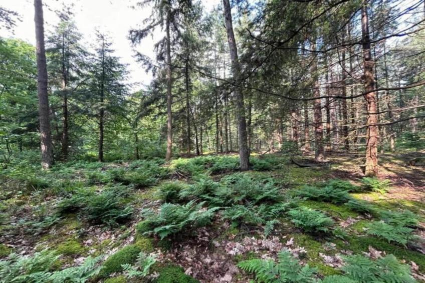 De Weelderik 2 - foto 33