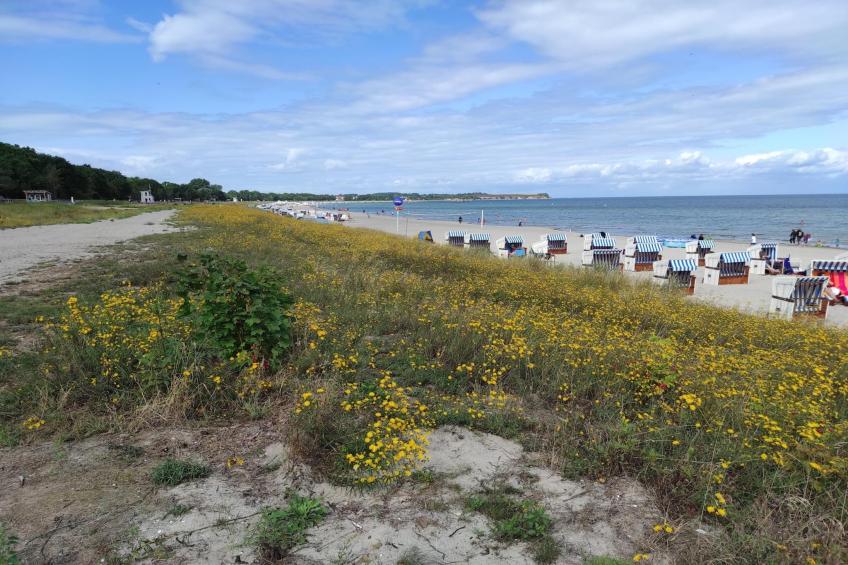 Schulweg 2 - foto 33