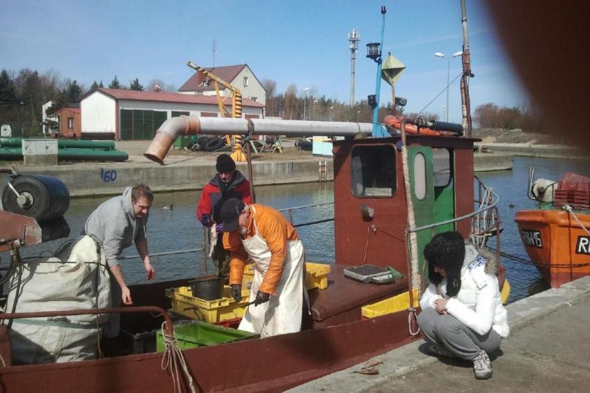 Wohnung in Rowy mit Grill, Terrasse, Parkplatz u - foto 26
