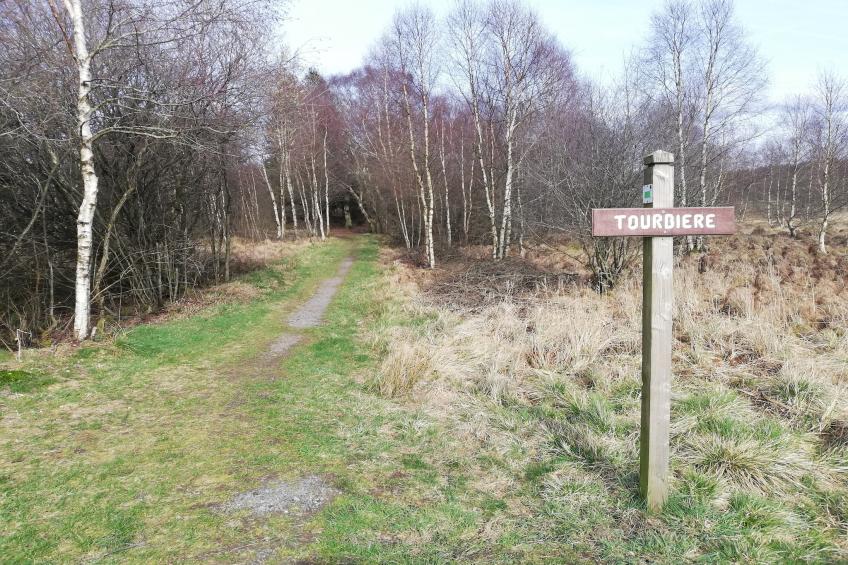 Le Coeur Des Fagnes - foto 35