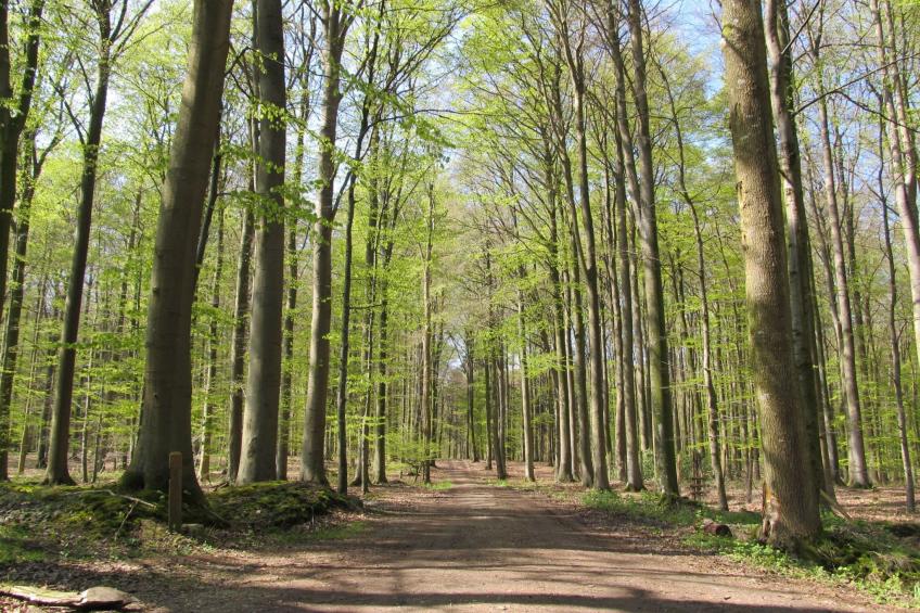 Land-Ferienhaus - foto 32