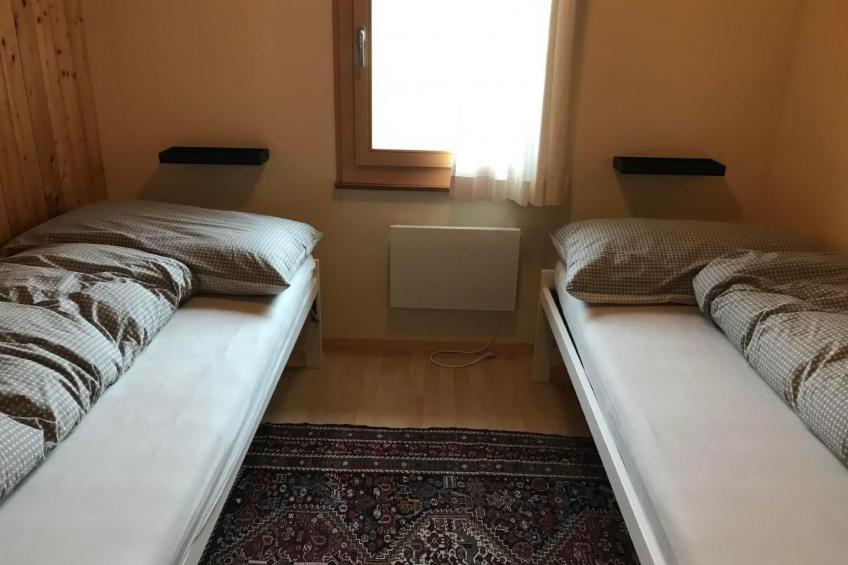 Soldanella - foto 13