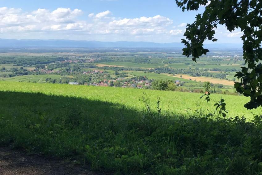 Haus Sonnenschein - foto 25