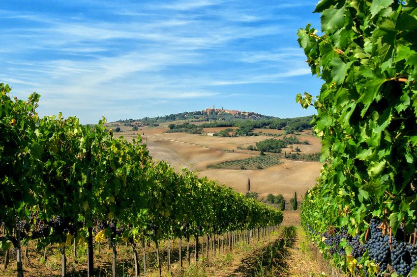 Tenuta "Podere Osteria" - foto 31