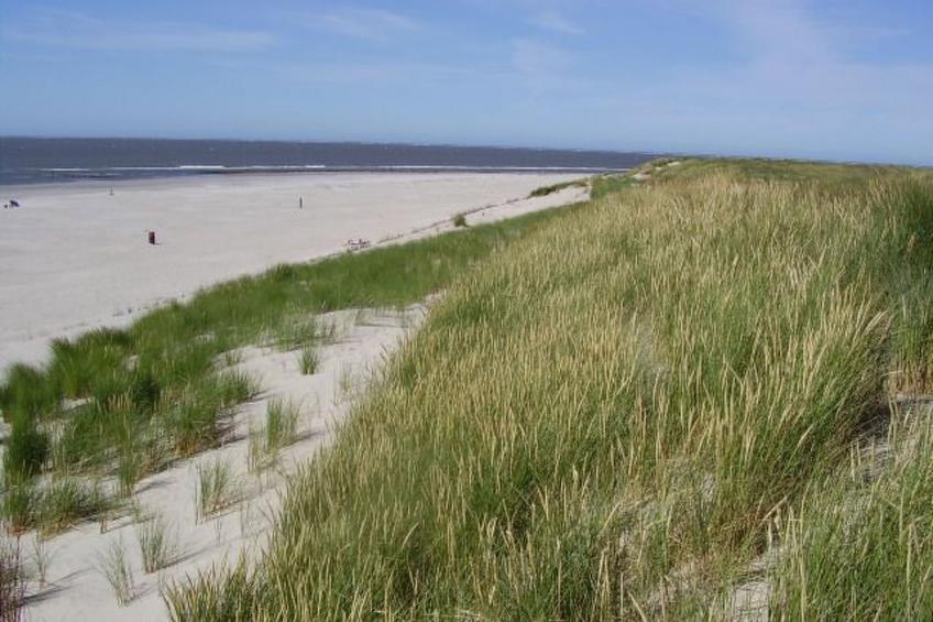 "Wad und Wal" mit Schwimmbad - foto 18