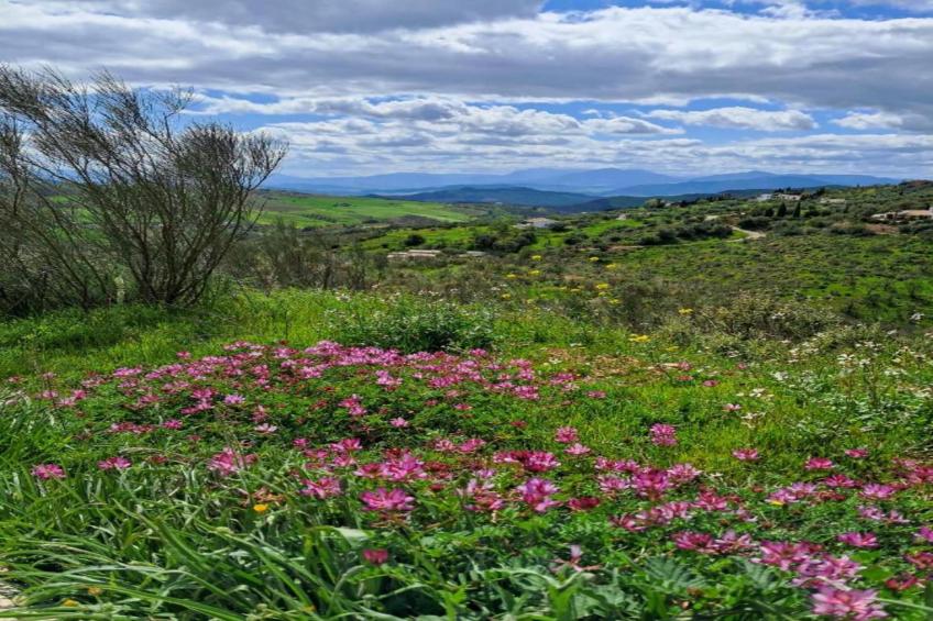 Casa Villa Campito - foto 35