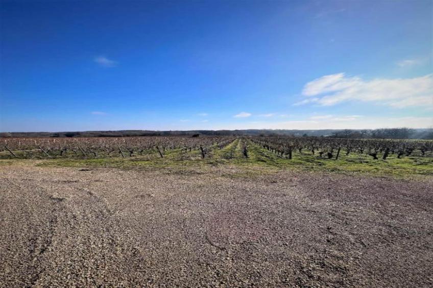 Gite de caractère - foto 27