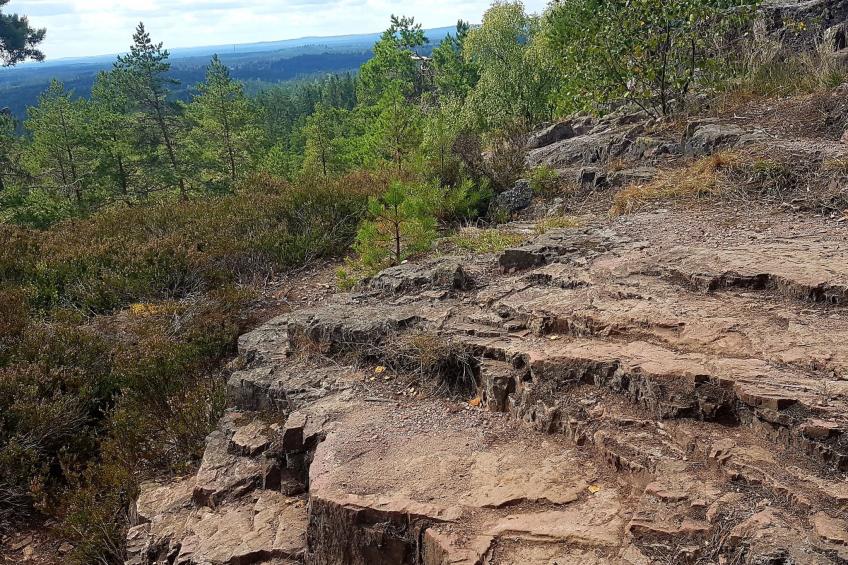 Särskilda - foto 48