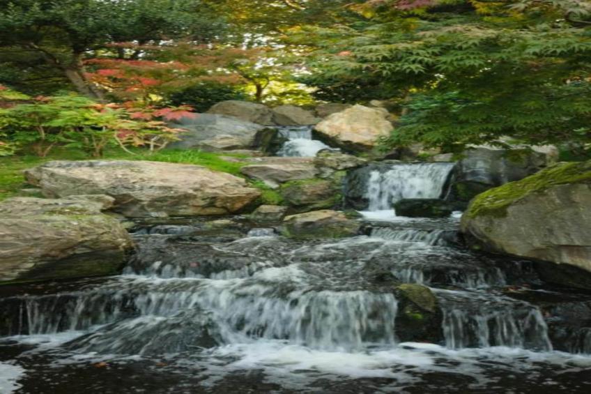 Five Waterings - foto 33